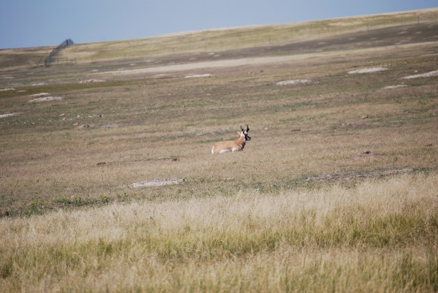 Taking the Back Road in