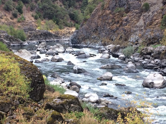 Rapids Above Paradise