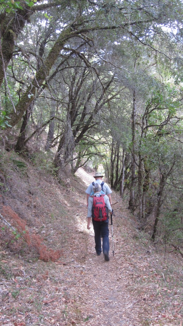 Starting the First Day's Hike