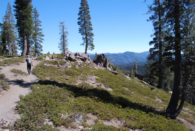 On the Trail to Kings Creek Falls