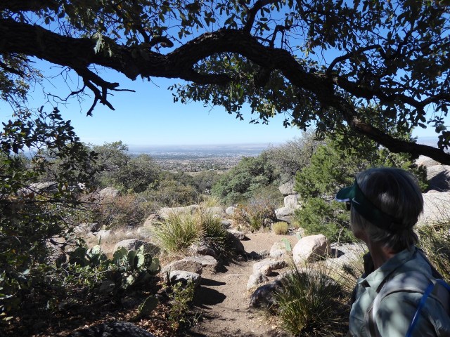 Albuquerque in the Distance
