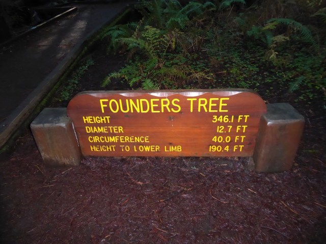 Founders Tree Sign