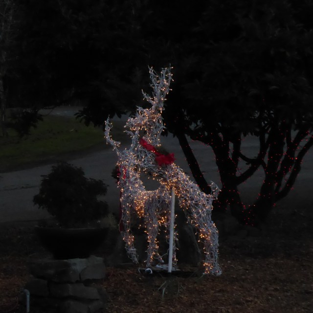 Frisky Deer at Benbow