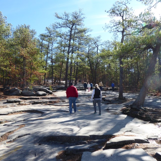 Heading up the Trail