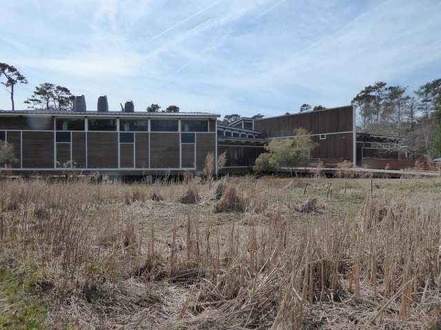 Chincoteague National Wildlife Refuge