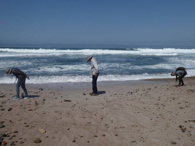 A New Breed of Searching