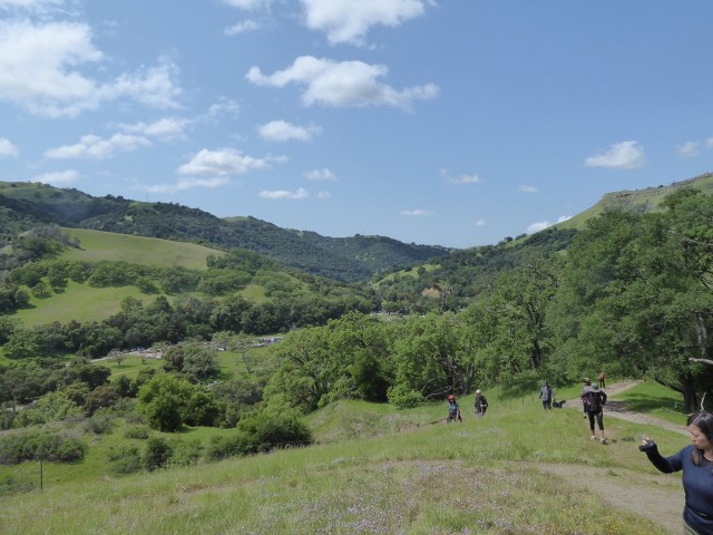 Spring Day in East Bay