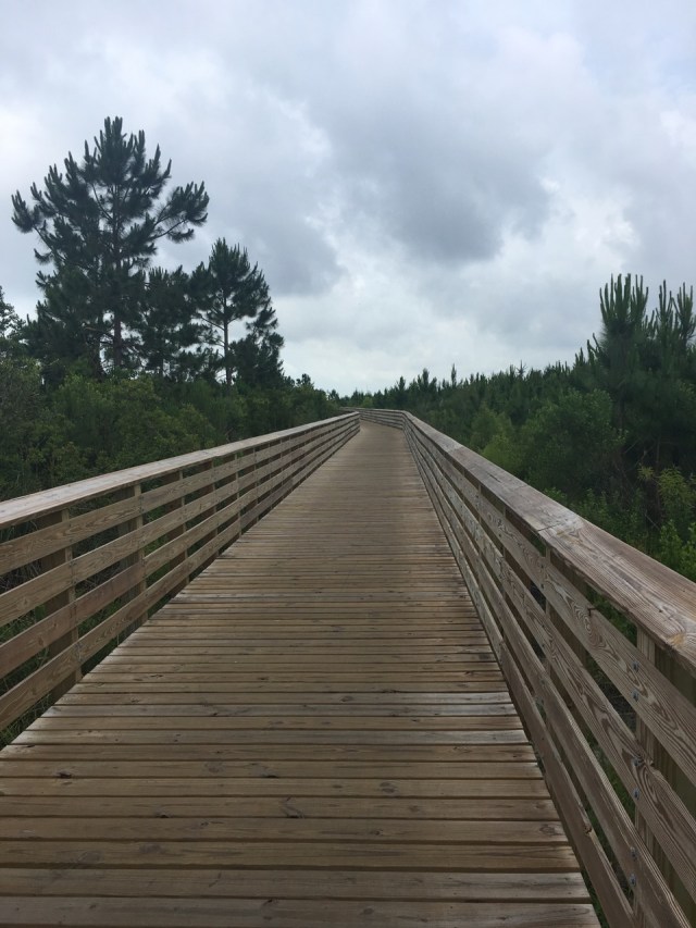 Boardwalk at Gulf State