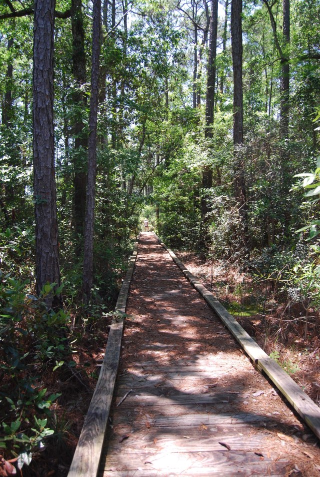Boardwalk on the Trail