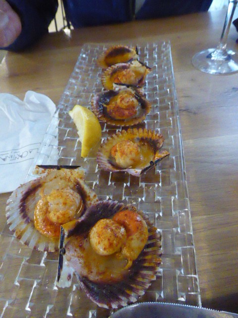 Scallops