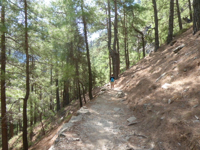 A Rare Smooth Flat Section