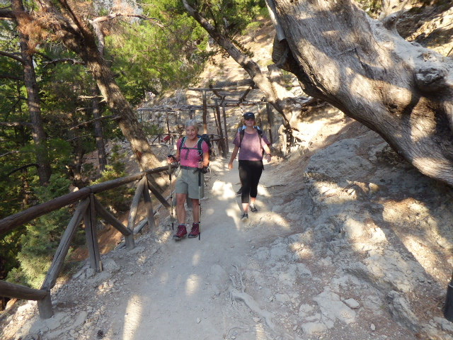 Joanna Steep Section