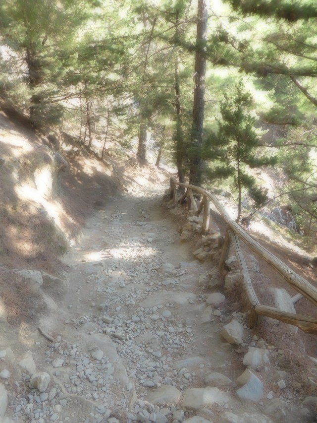 Rocky Section of Trail