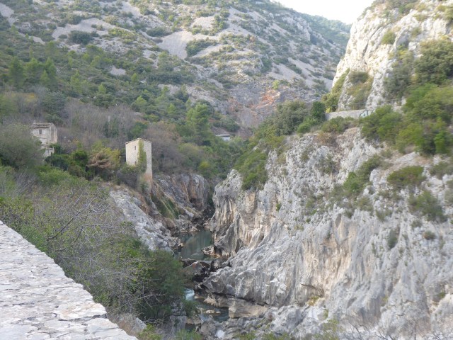 Looking Up the Canyon