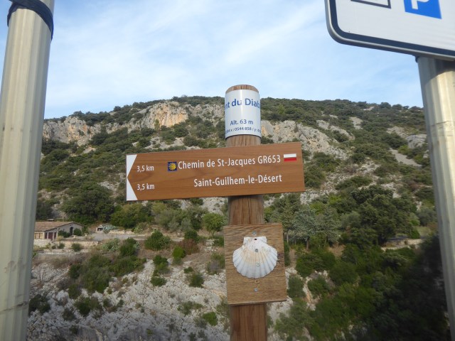 The Camino Leads to Santiago