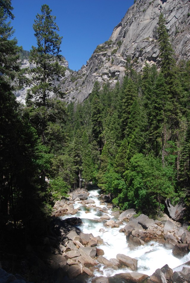 Looking Back Down the Trail