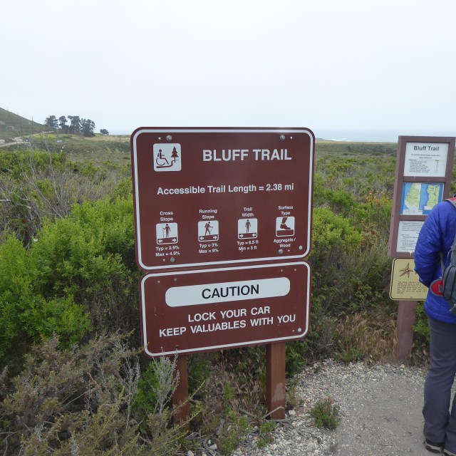 The Bluff Trail