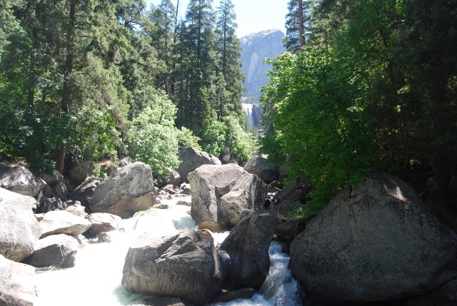 View from the Bridge