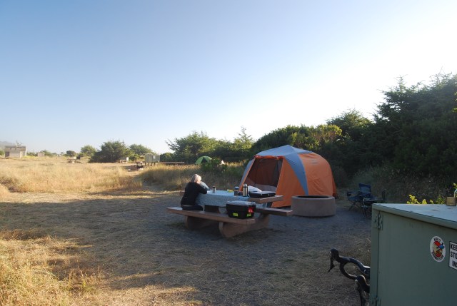 Campsite at Gold Bluffs Beach