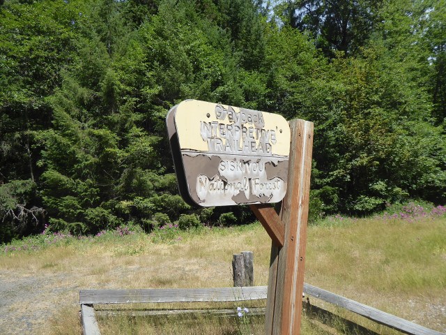 Grayback Trailhead