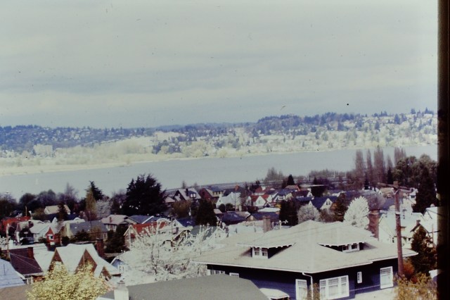 View from the House - 1979