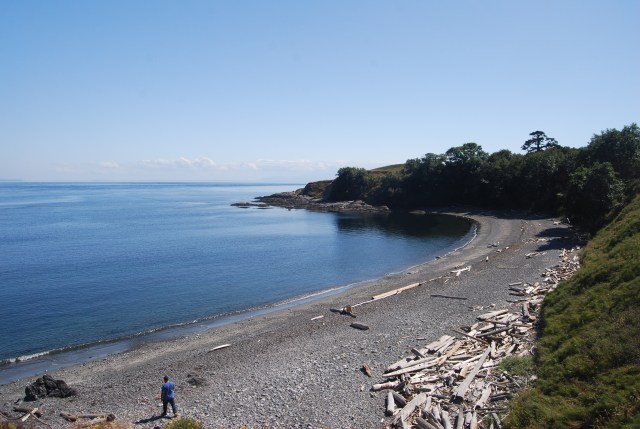 A Bay at Cattle Point