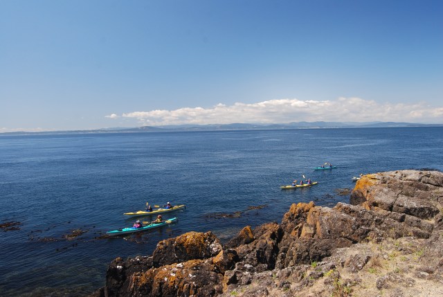 Kayakers Paddling By