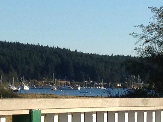 View from Bucky's Deck