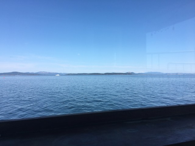 View from the Bistro