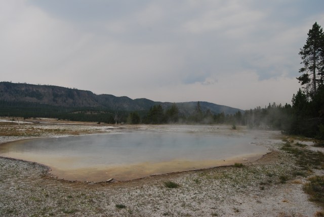 Artemisia Geyser