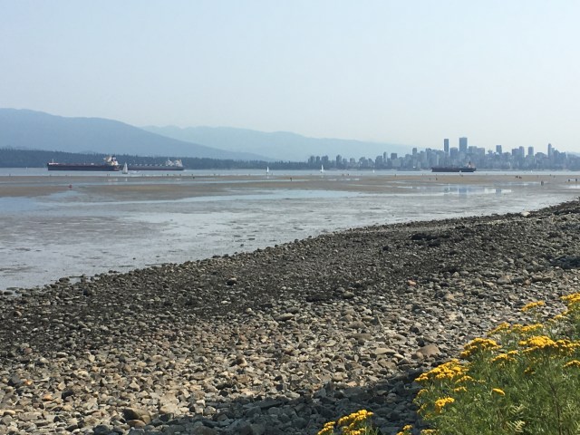 Looking Back at the City