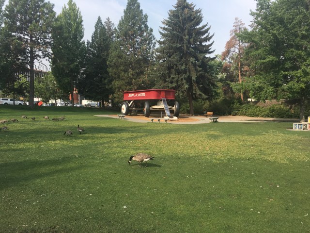 Radio Flyer Riverfront Park