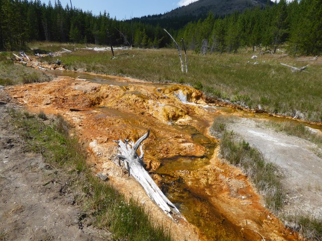 Runoff from Imperial Geyser