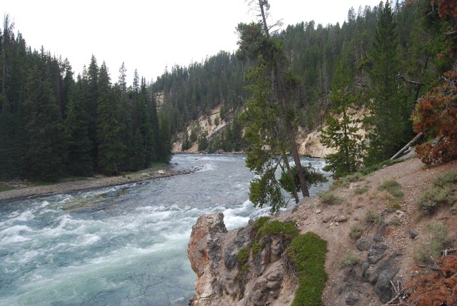 The River Rushing to the Falls