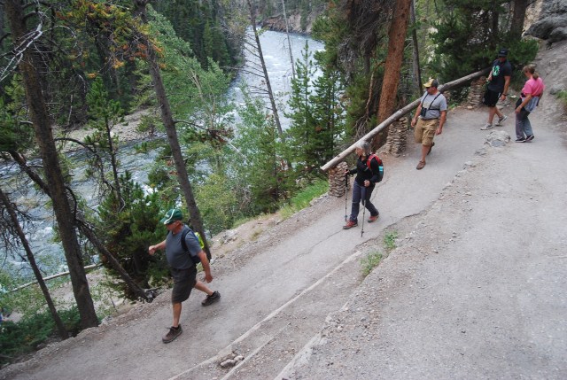 Trail to Lower Falls Overlook