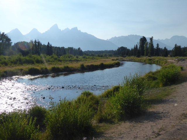 The Snake at the Landing