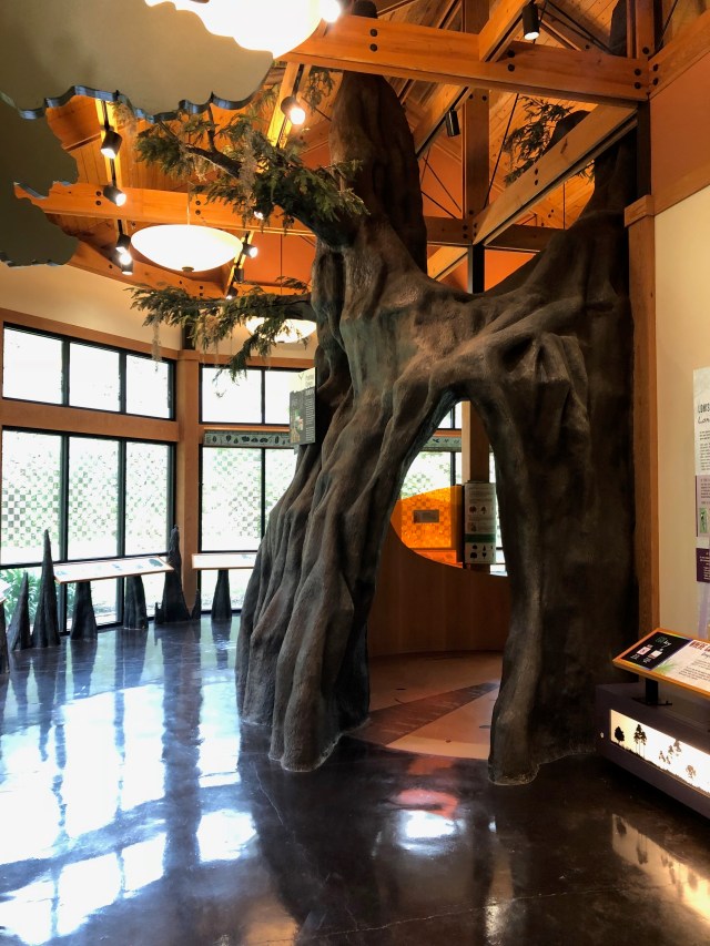 At the Louisiana Arboretum