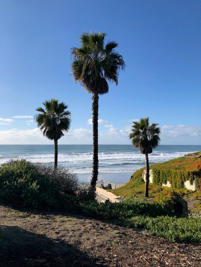 Fletcher Cove Beach Park