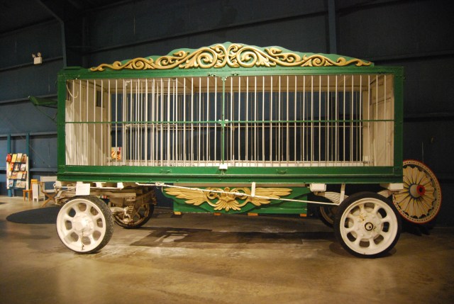 Animal Wagon