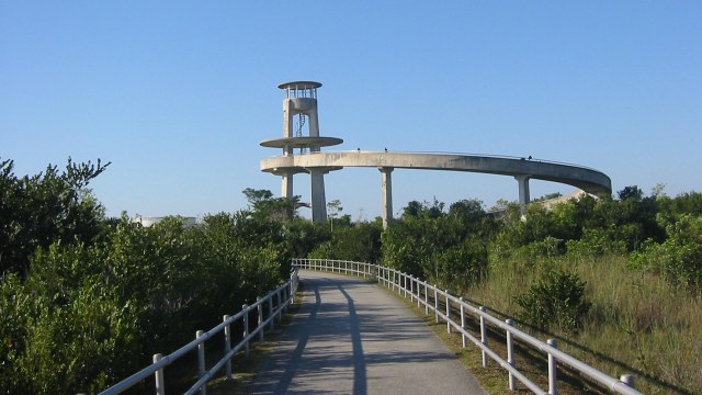 Shark Valley Observation Tower