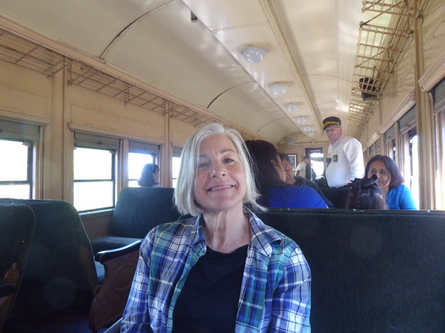 Cute Girl on the Train