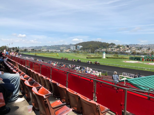 Gorgeous Day at Golden Gate Fields