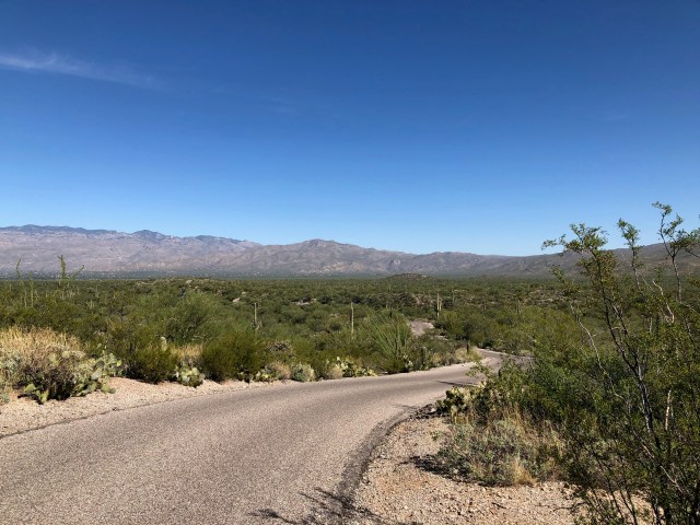 Saguaro Loop Road