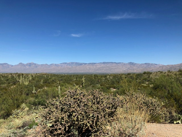 Saquaro National Park