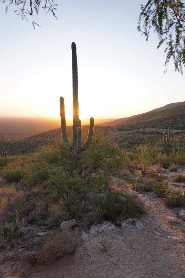 Setting Sun from the Lookout
