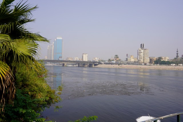 A Dirty Nile River