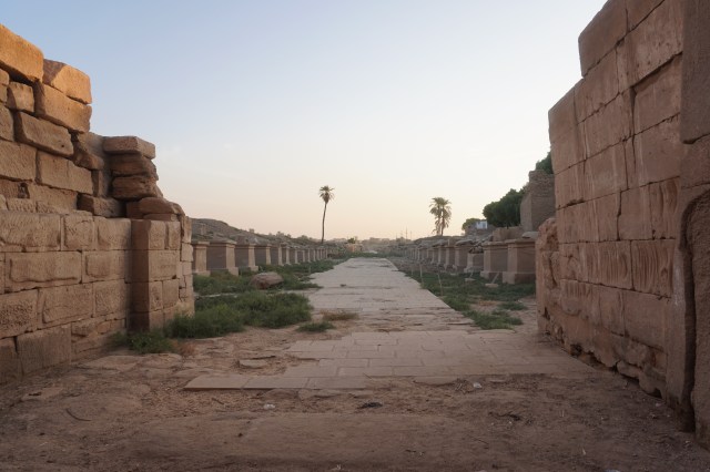 Columed Road to Luxor Temple
