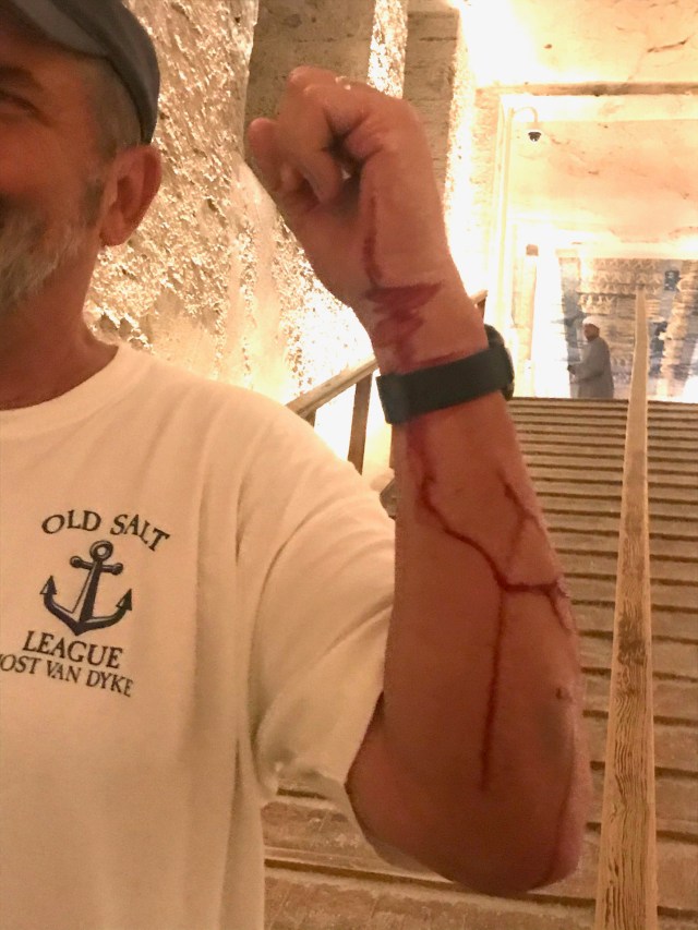 Marty's Souvenir from Merenptah's Tomb