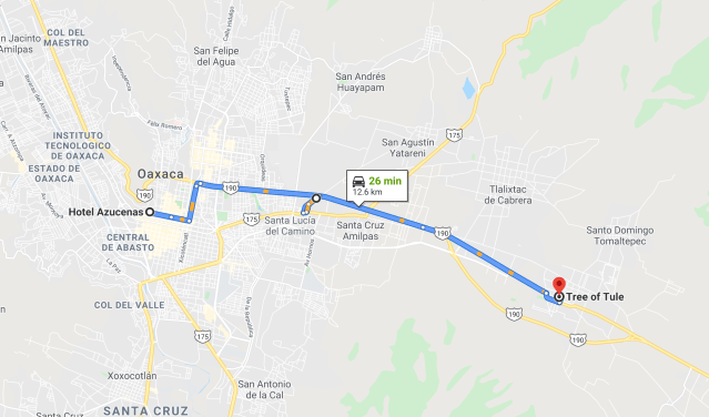 Azucenas to Tule Tree