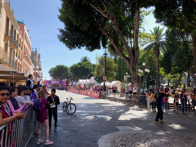 Lined Up For the Finish